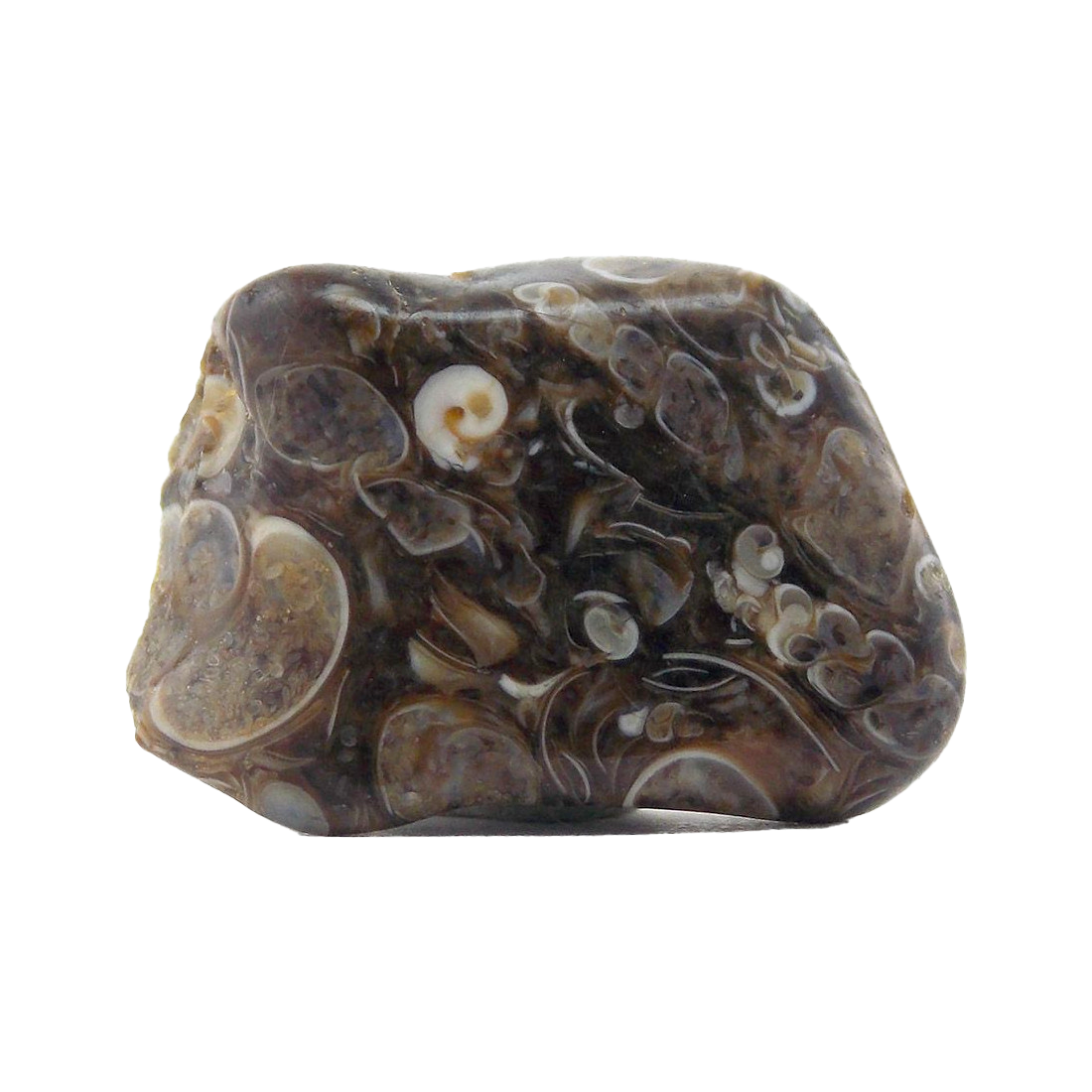 Pierre agate turitelle